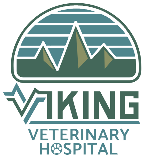 Viking-Veterinary-Hospital-Logo-footer