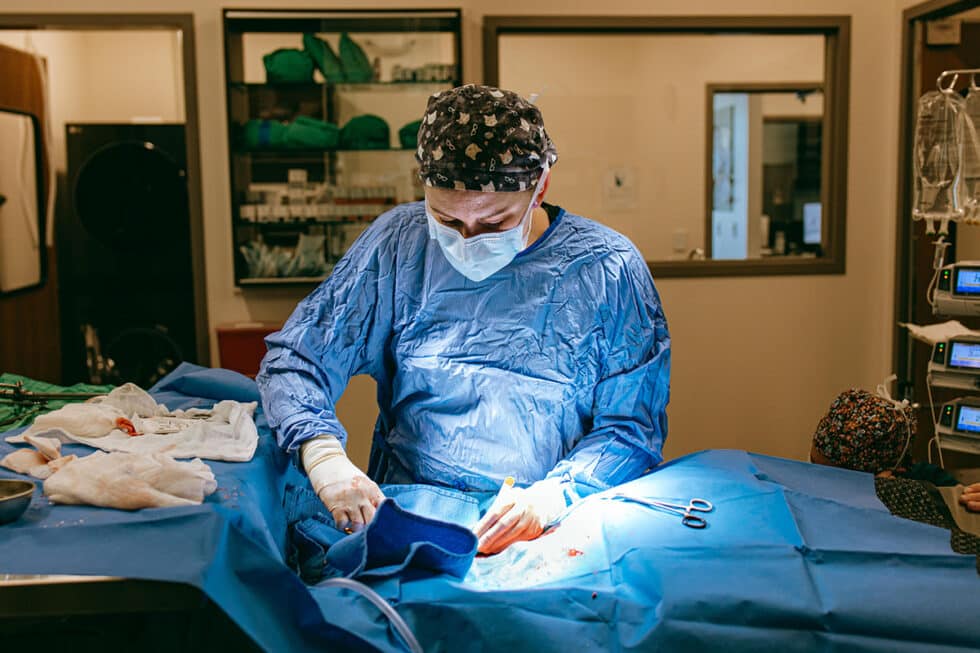 VETERINARY SERVICES IN MOSCOW ID visual data 5