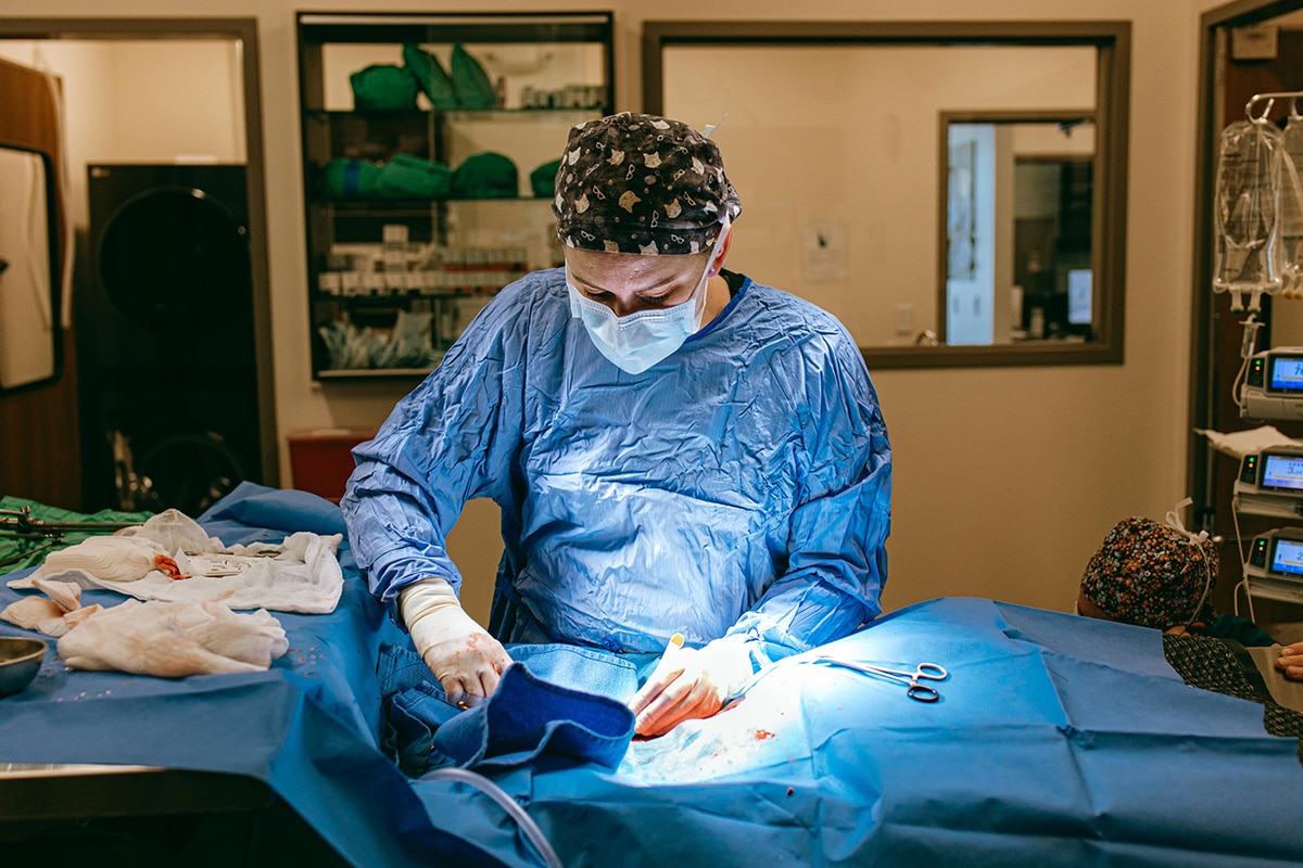 A veterinarian doing surgery